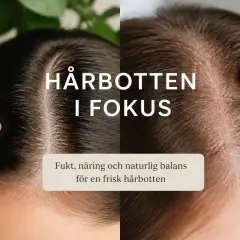 Två närbilder av hårbotten, en mörk och en ljus. Texten "Hårbotten i fokus" och "Fukt, näring och naturlig balans för en frisk hårbotten" antyder lösningar för torr hårbotten, huskur.