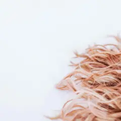 Ljust, lockigt hår som ser ut att ha fått en behandling med hair botox för extra glans och mjukhet.