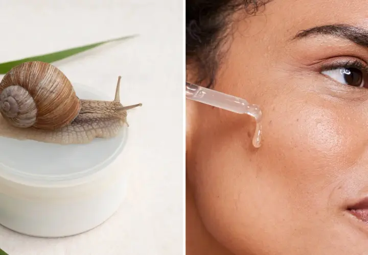En snigel på en burk, bredvid en droppe snigelslem som appliceras på huden. Naturlig skönhet med snigelslem lyko.