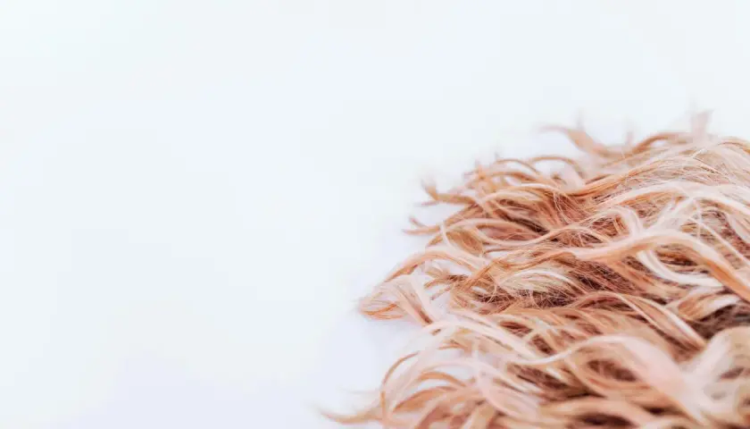 Ljust, lockigt hår som ser ut att ha fått en behandling med hair botox för extra glans och mjukhet.