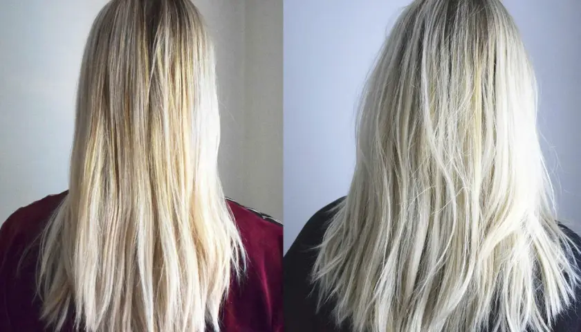 Två bilder av blont hår. Till vänster syns torrt, lite gult hår. Till höger, efter användning av silverschampo, är håret ljusare och fräschare.