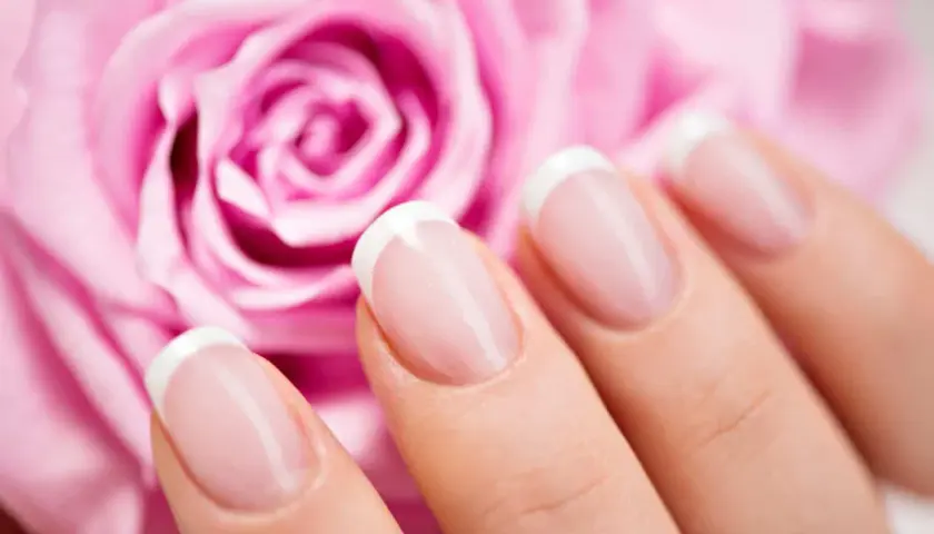 Vackra franska manikyrnaglar framför en mjuk rosa ros. Perfekt för att fila ner tjocka naglar och få en elegant look.