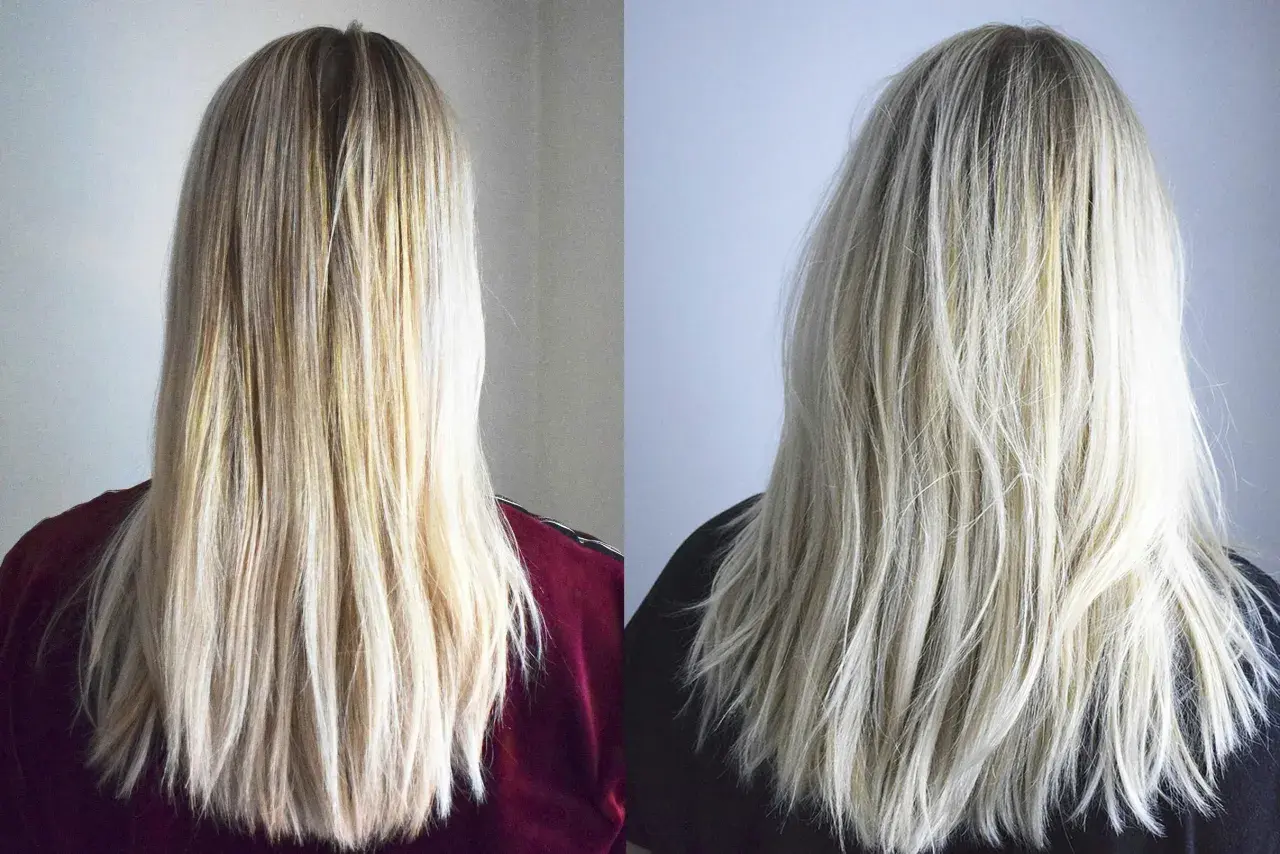 Två bilder av blont hår. Till vänster syns torrt, lite gult hår. Till höger, efter användning av silverschampo, är håret ljusare och fräschare.