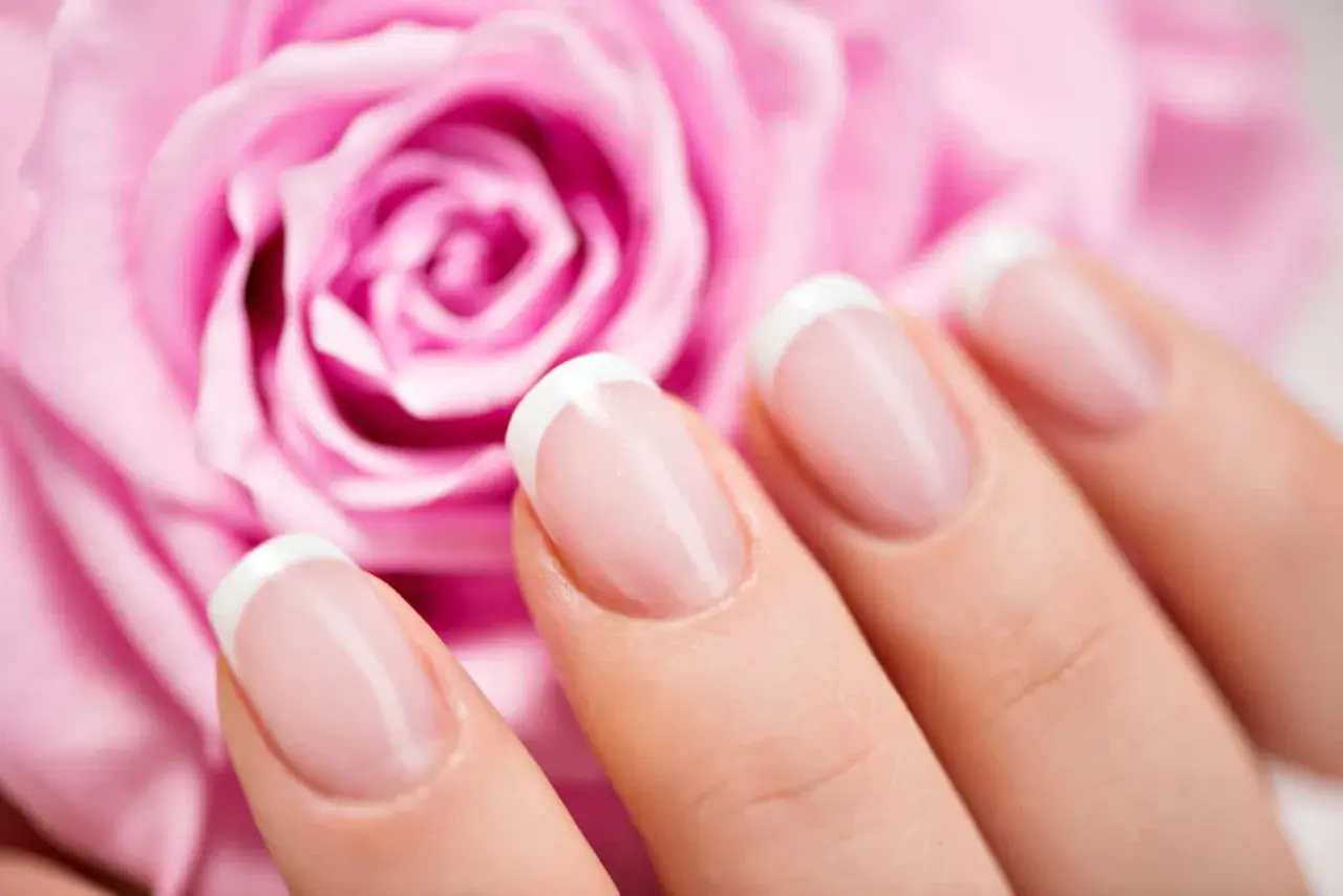 Vackra franska manikyrnaglar framför en mjuk rosa ros. Perfekt för att fila ner tjocka naglar och få en elegant look.